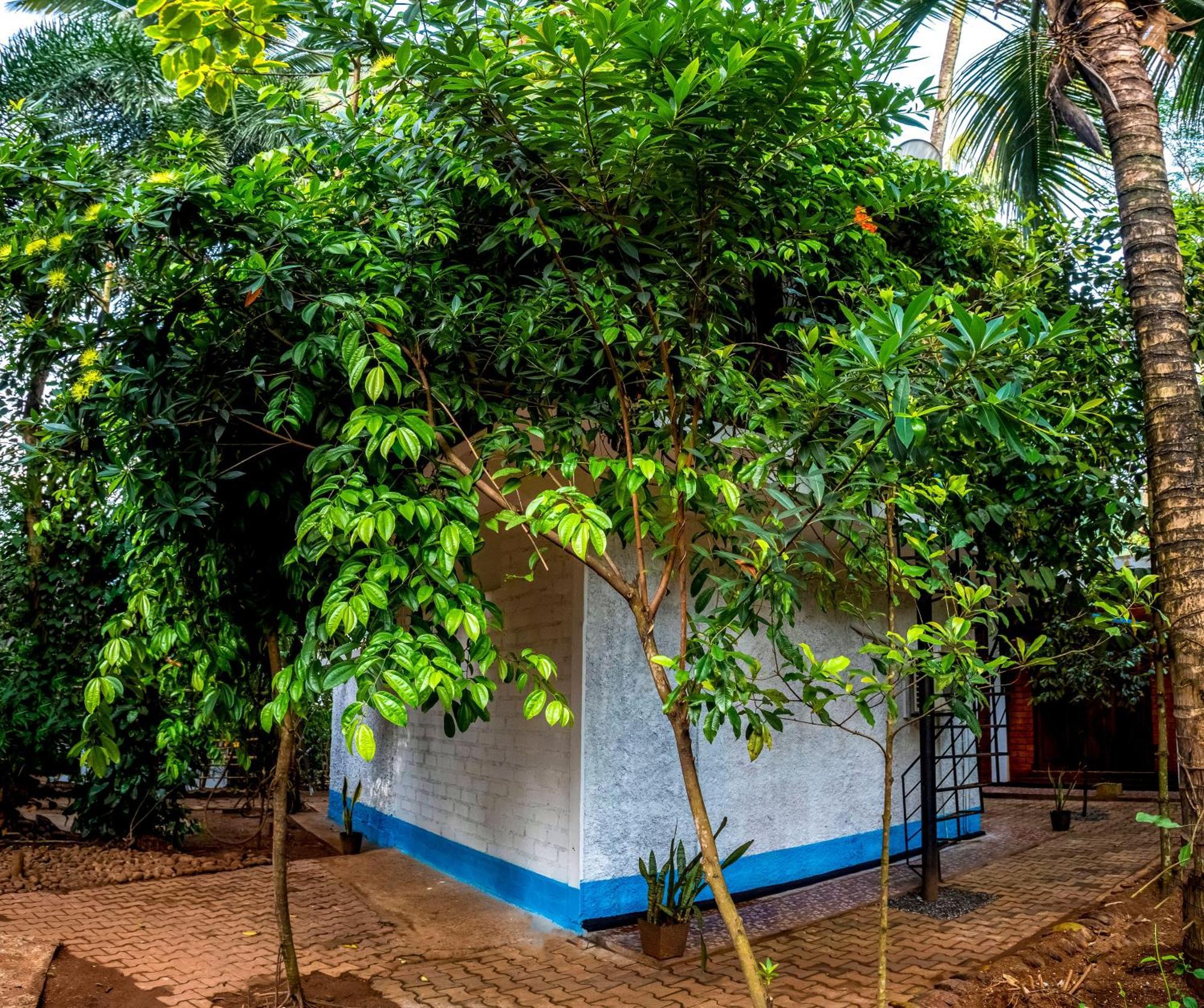 Jays Place Matale Kawudupelella ภายนอก รูปภาพ